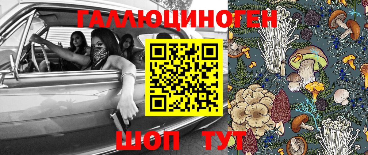 Псилоцибиновые грибы GOLDEN TEACHER  Вход с VPN  купить закладку  Гусь-Хрустальный 